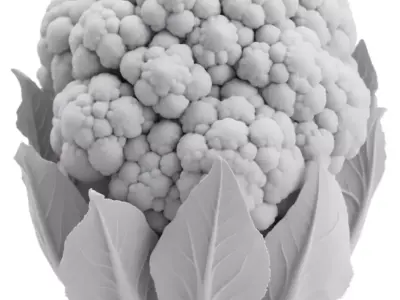 Ultra-Realistic Cauliflower 3D Model Fresh Vegetable Leaves Low-poly 3D model