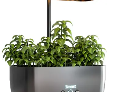 PLANTS IN DIGITAL VASE NO4 A 3D model