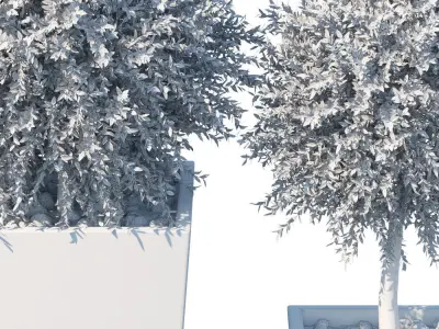 Plant in the pot I 3D model