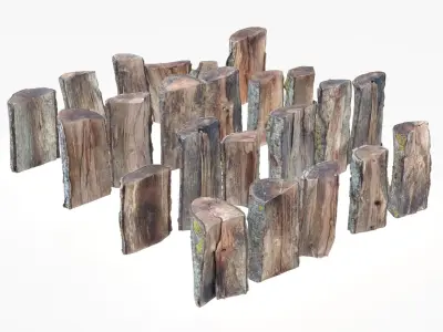 Wood Scan Pack Low-poly 3D model