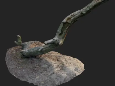 nature forest roots 004 3D model