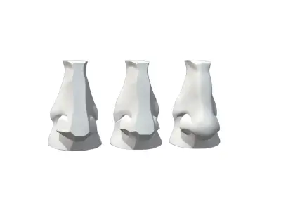 Planes of The Nose 3D model