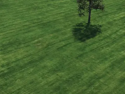 3 click grass for archviz 3D model