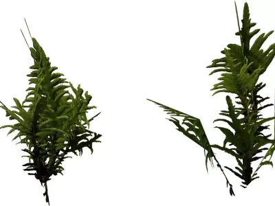 Realistic Moss Tuft  Ground Foliage 3D Model Pack  Low-poly 3D model