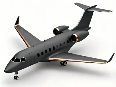 Luxury Matte Black Private Jet 3D Model Low-poly 3D model
