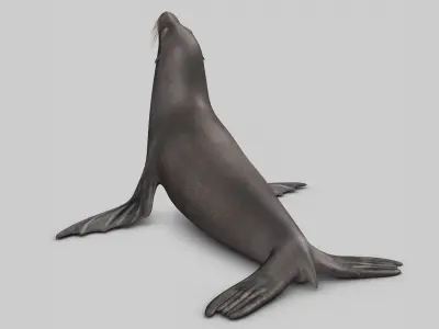  Sea Lion 