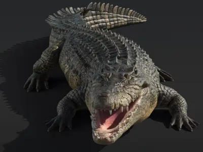  Saltwater Crocodile Animated 