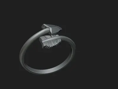 karma ring 3D print model