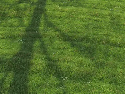 green lawn 3D model