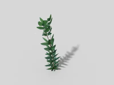 Low poly Plant Low-poly 3D model