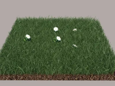 Grass daffodils in 3D model