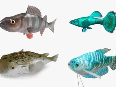  Freshwater Fish Collection 2 