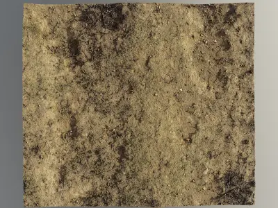 dirtpathscan06102024 3D model