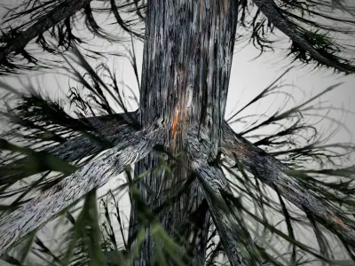 Alaska Cedar Tree Low-poly 3D model