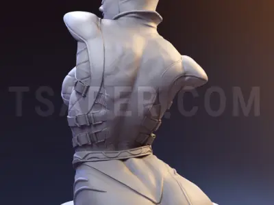 Catwoman Bust - DC Collectibles 3D print model
