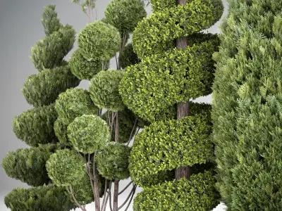 Groups of outdoor Decorative trees - Bushes - and Hedges 3D model