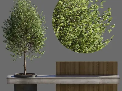  Bench with Plants - Urban Furniture 05 3D model