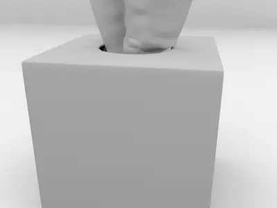 Tissue Box 2 3D model
