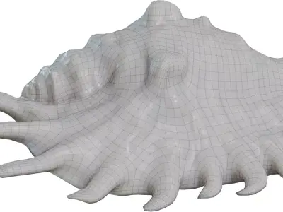 Spiky Conch Seashell Low-poly 3D model