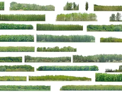 Green Trees  and Gift 3D model