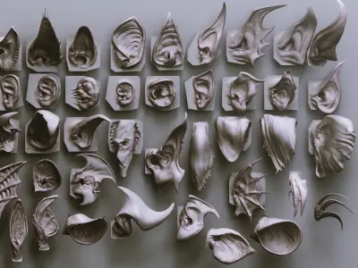 EARS - 40 ZBRUSH VDMs 3D model