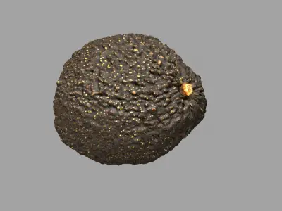 Avocado - Photorealistic Scan  Low-poly 3D model
