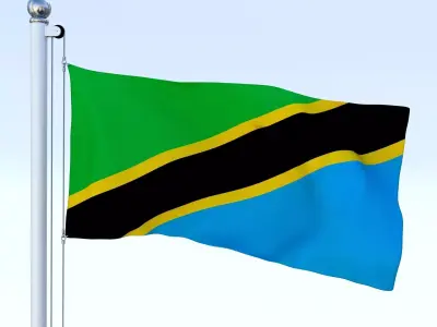 Animated Tanzania Flag Low-poly 3D model
