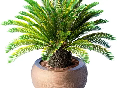 Decorative Evergreen Cycas Palm garden pot planters ArtDeco vase 3D model