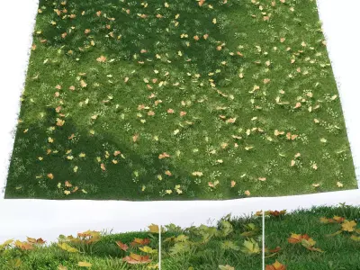 Lawn with fallen leaves 3D model