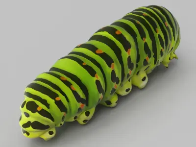  Caterpillar Crawling Animated Rigged for Maya 
