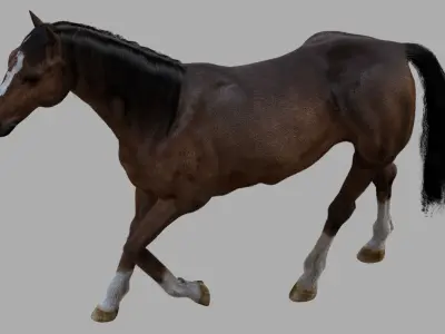  Brown Horse (Rigged) (Fur) 