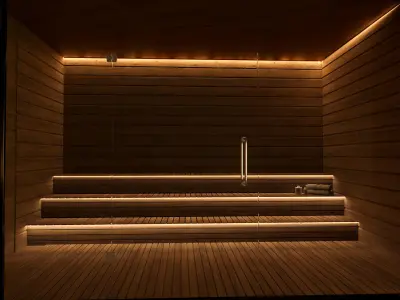 swimming pool and spa  3D model