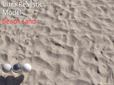Beach Sand  Scan 3D model