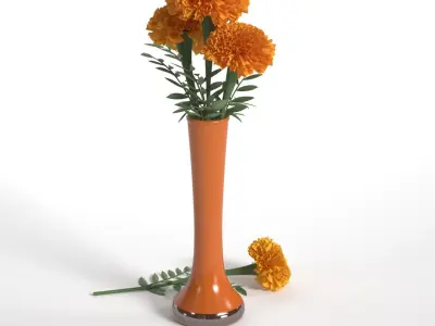  Marigolds 