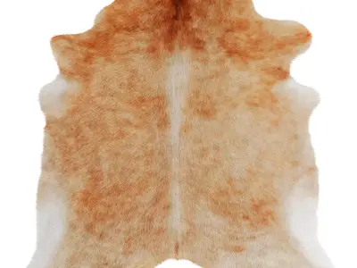 Light Caramel Cowhide Rug by Hudson Hides 3D model