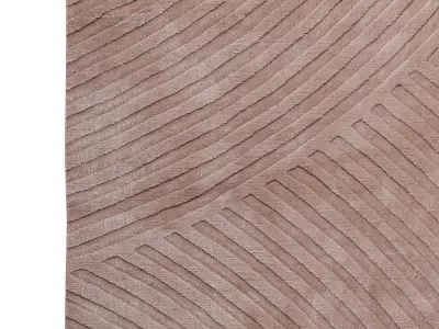 Sono Salmon 3D model