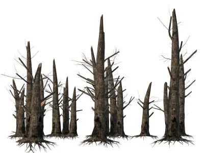 Fire-killed trees Low-poly 3D model