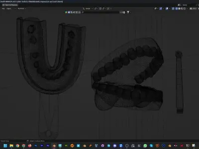 Teeth Impression Gums and Tool 3D model