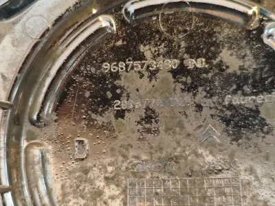 Fog light cover  for the Citroen C3 Mk2 9687573480 LR 3D print model