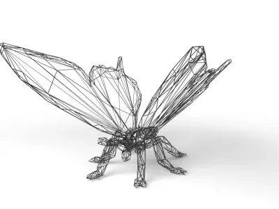 Butterfly Wireframe Low-poly 3D model