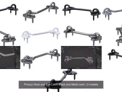 Privacy Hook and Eye Latch Black and Metal color 3D Model Pack