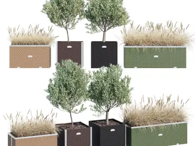 Polyrattan three 3D model