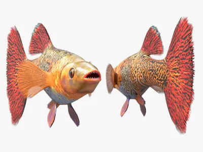  Aquarium Fish Collection 2 