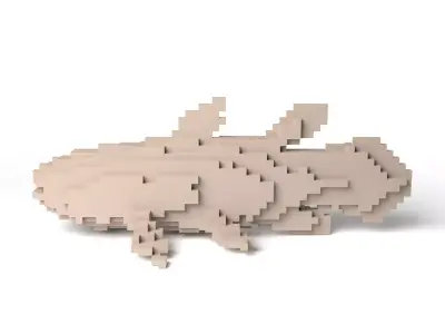 Coelacanth Minecraft Voxel Low-poly 3D model