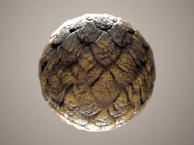 10 Materials Skin Dragon Seamless PBR Volume 5 Texture