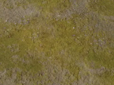 Mossy Meadow Soil Texture