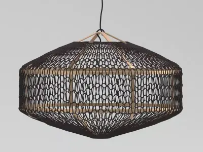 Ay Illuminate Mo black bamboo 3D model