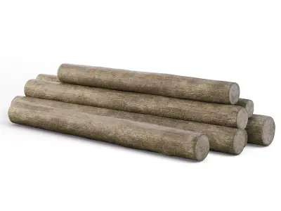 Tree Logs 3D model