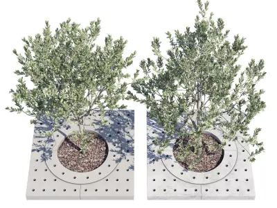 Surrounds two trees in concrete planter 3D model