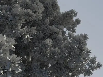  Hi Res Tree Looped Animation 